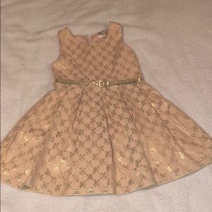 Beautiful brocade dress